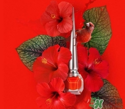 clָ���Ͷ���Ǯ��cl���Ьָ����ר��۸�